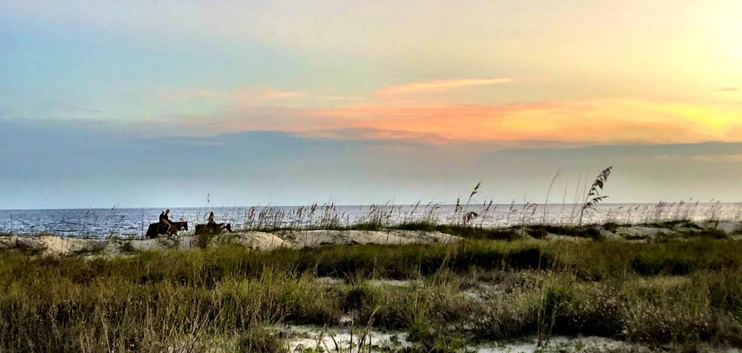 Discover The Coast Sunshine Vacation Rentals